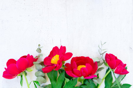 Fresh red peony flowers with green leaves on white wooden, top view background with copy spaceの写真素材
