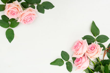 Rose fresh pink flowers with leaves on light table from above with copy space, flat lay sceneの写真素材