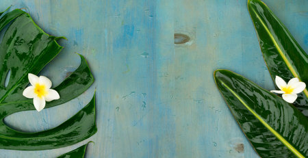 Summer flat lay frame with wet tropical leaves and flowers on blue background with copy spaceの写真素材