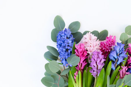 wedding or mothers day background, bouquet of Hyacinth flowers over plain backgroundの写真素材