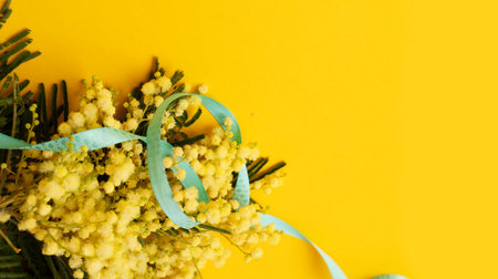 Mimosa fresh flowers on yellow background, border with copy space, 8 march day background, mimose is traditional flowers for international womans day 8 of march, copy spaceの写真素材