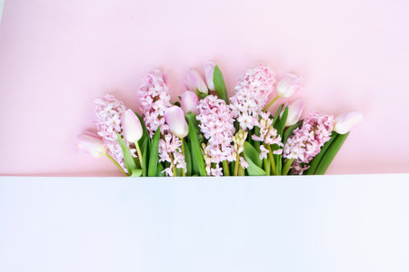 Easter festive scene with fresh tulips and hyacinth flowers border over pink background, copy spaceの写真素材