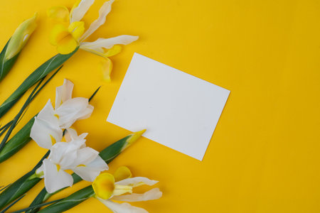 Irises flowers on bright yellow spring background, 8 march day festive background, copy space on blank cardの写真素材