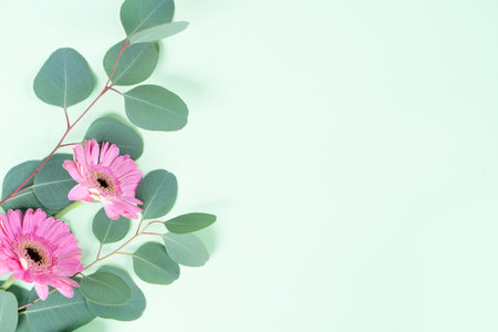 easter or mothers day eucaliptus leaves over mint green background with copy spaceの写真素材