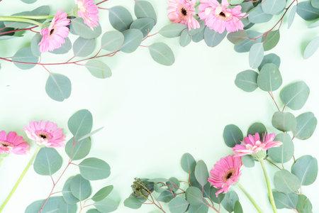 wedding or mothers day backgroundgreen eucaliptus leaves over mint green background, frame with copy spaceの写真素材