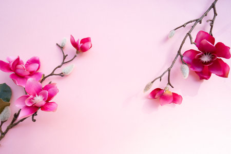 Blooming magenta magnolia tree branch with flowers against pink backgroundの写真素材