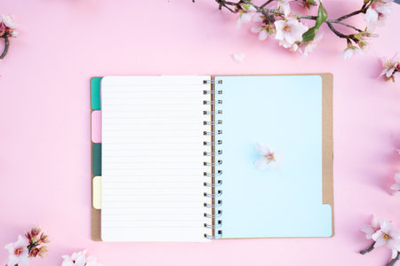 spring cherry and almond tree blossoming flowers over pink background with copy space on open notebookの写真素材
