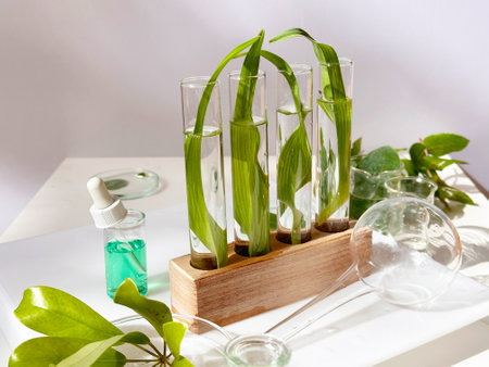 Science and nature concept, green laboratory with test tubesの写真素材