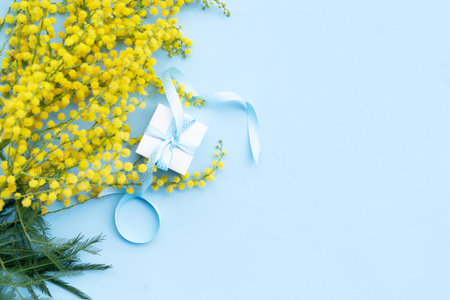 Mimosa yellow flowers on blue spring background, 8 march day background with copy space, mimose is traditional flowers for international womans day 8 of marchの写真素材