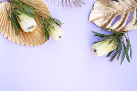 Tropical leaves and flowers over violet background, summer background with copy spaceの写真素材