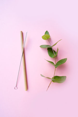 Zero waste concept, eco friendly plant based drinking straw