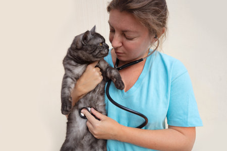 Woman veterinarian doctor holds sick cat close-up. Diagnostics of pets health in veterinary clinic concept.の写真素材
