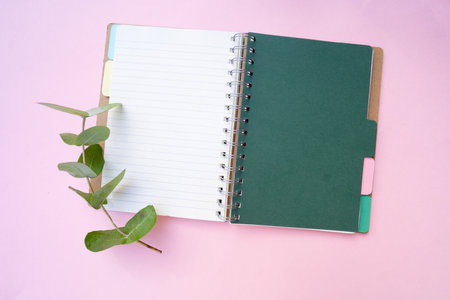 Zero waste concept with open notebook and green eucaliptus leaves over pink backgroundの写真素材