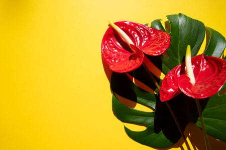 tropical leaves greenery with green leaves and red anthurium flowers over bright yellow backgroundの写真素材