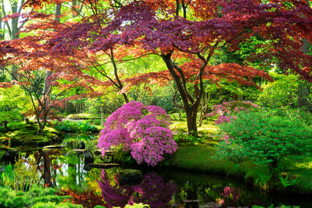green grass and blooming trees in japanese garden in The Hague, Netherlandsの写真素材
