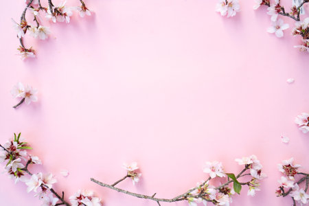 spring cherry and almond tree blossoming flowers over pink background, frame with copy spaceの写真素材
