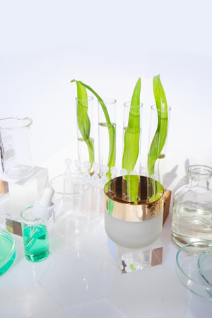 Laboratory tested face cream in white glass container,の写真素材