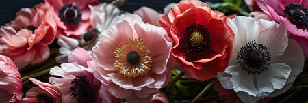 Blush Anemone, romantic palette, St Valentine's day concept backgroundの素材