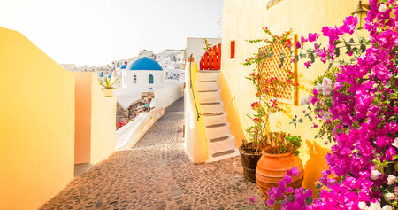 street of Oia, traditional white greek village of Santorini with flowers, Greeceの写真素材
