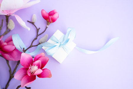 Blooming pink magnolia tree branch with flowers with gift box against violet backgroundの写真素材