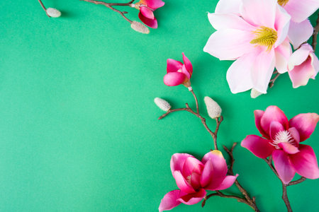 Blooming pink magnolia tree branch with flowers against green background with copy spaceの写真素材