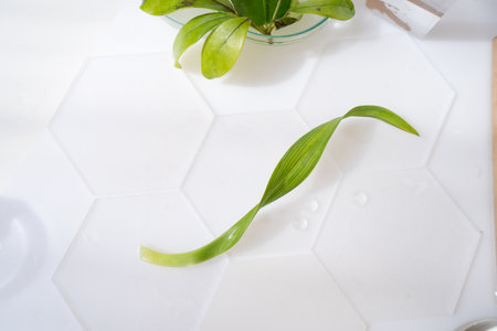 Science and nature concept, green laboratory with test tubesの写真素材