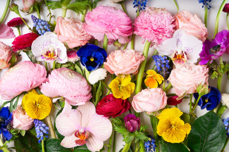 Flowers composition. Border made of roses, ranunculus, pansies and orchids flowers on white background. Flat lay, top view scene.の写真素材