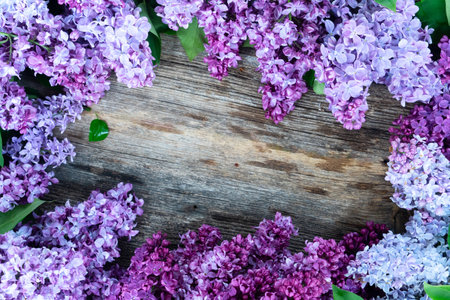 Fresh lilac flowers frame over wooden background with copy space, flat lay floral compositionの写真素材