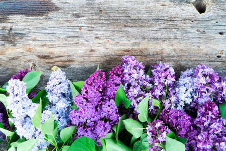 Fresh lilac flowers border over wooden background with copy space, flat lay floral compositionの写真素材