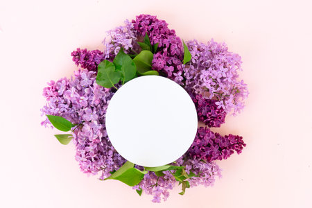 Fresh lilac flowers over pink background with copy space, flat lay floral compositionの写真素材