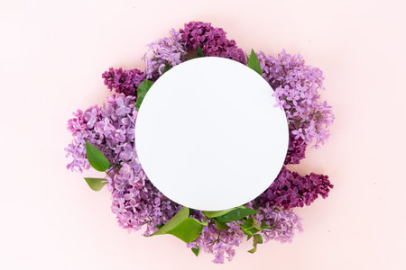 Fresh lilac flowers over pink background with copy space, flat lay floral compositionの写真素材