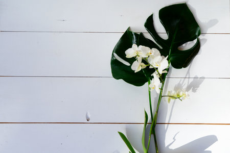 Summer flat lay scenery with tropical leaves and orchids on white background with copy spaceの写真素材