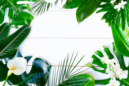 Summer flat lay scenery with tropical leaves and flowers on white background with copy spaceの写真素材