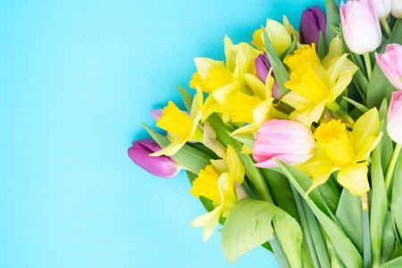tulips and daffodils flowers over brigh blue backgroundの写真素材
