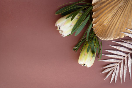 Tropical leaves and flowers over brown background, summer background with copy spaceの写真素材