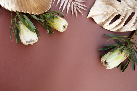Tropical leaves and flowers over brown background, summer background with copy spaceの写真素材