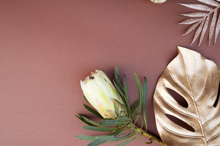 Tropical leaves and flowers over brown background, summer background with copy spaceの写真素材