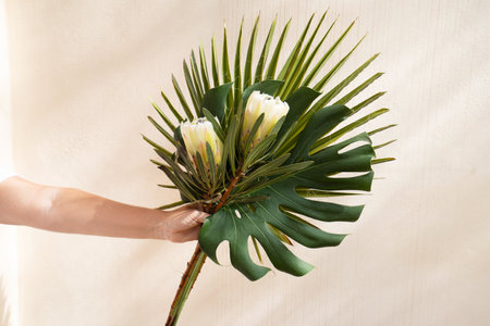 Hand holding tropical leaves greenery with green leaves and red anthurium flowersの写真素材