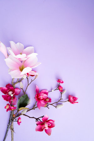 Blooming pink magnolia tree branch with flowers against violet backgroundの写真素材