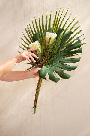 Hand holding tropical leaves greenery with green leaves and red anthurium flowersの写真素材