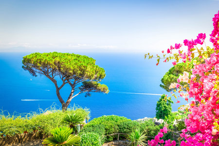 Tyrrhenian Sea waters and nature of Amalfi coast, Italyの写真素材