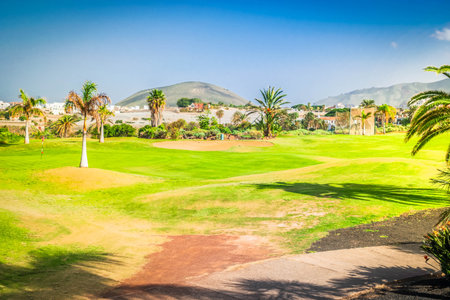 Green golf course at sunny summer dayの写真素材