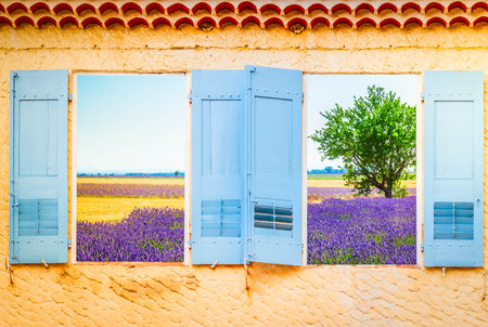 two windows with view of lavender field, Franceの写真素材