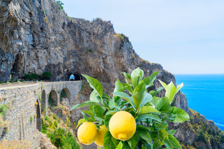 picturesque winding road of Amalfi summer coast and Tyrrhenian sea , Italyの写真素材