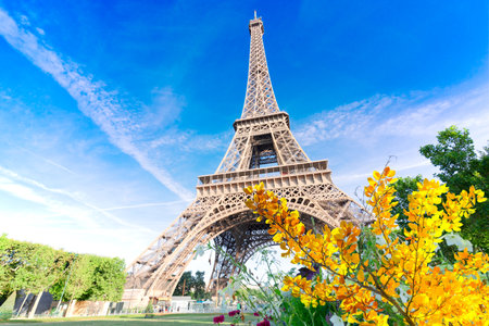 Paris Eiffel Tower summer flowers in Paris, France. Eiffel Tower is one of the most iconic landmarks of Paris.の写真素材