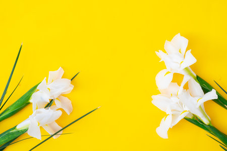 Irises flowers on bright yellow spring background.