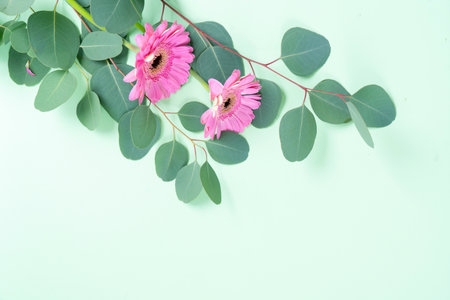 wedding or mothers day backgroundgreen eucaliptus leaves over mint green background with copy space