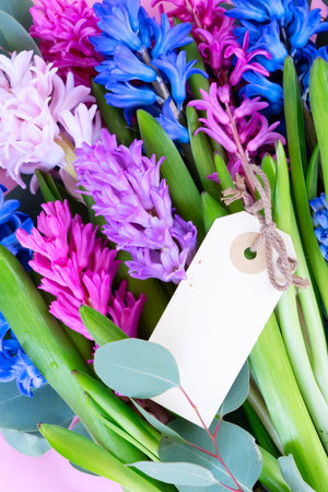 wedding or mothers day background, bouquet of Hyacinth flowers over plain backgroundの写真素材