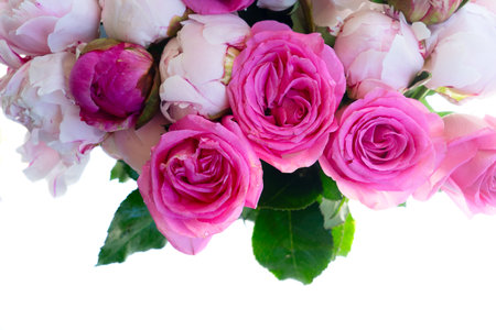 Fresh peonies and rose flowers isolated on white background
