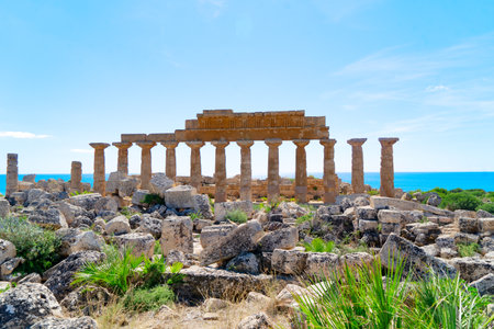 Selinunte site with ancient greek ruins, Sicily island, Italyの写真素材
